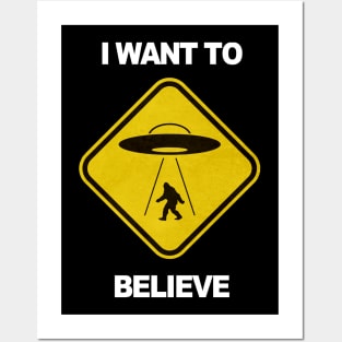 I want to believe Posters and Art